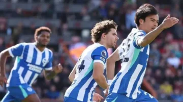 مواعيد اليوم.. مباريات برايتون وبورنموث وإلتشي ضد إشبيلية